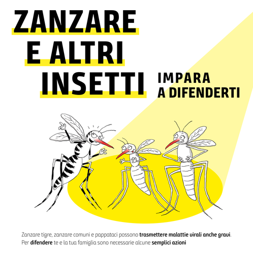 Zanzare e altri insetti, impara a difenderti foto 