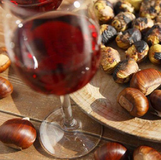 Visite guidate alle Cantine del Lambrusco foto 
