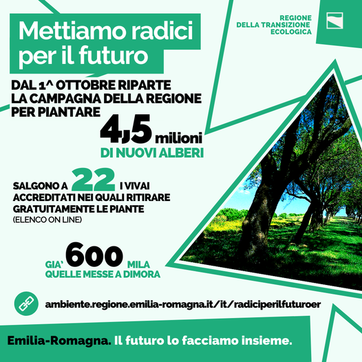 Mettiamo radici per il futuro foto 