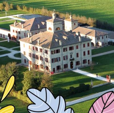 Terre di vite foto 