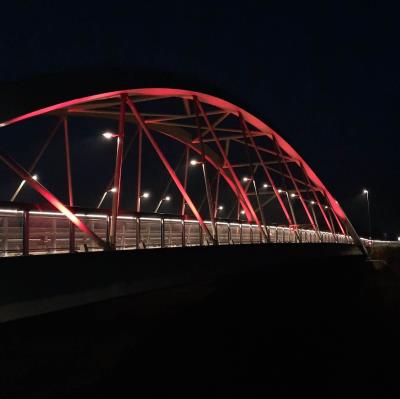 Ponte rosso nella Giornata del Donatore foto 