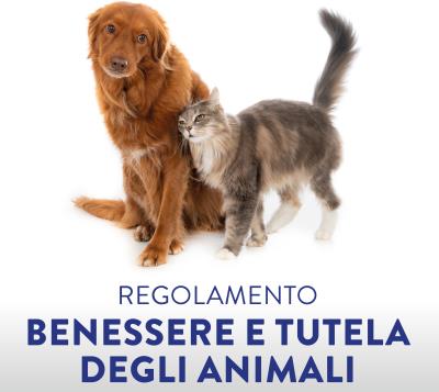 Regolamento per il Benessere e la Tutela degli Animali foto 
