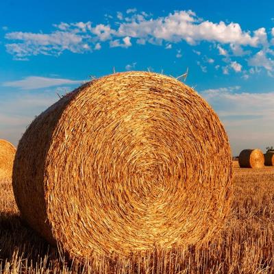 Stop alle attività nei cantieri, in agricoltura e nel florovivaismo dalle 12.30 alle 16  foto 